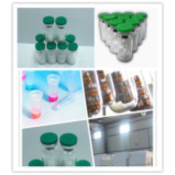 High Purity Peptide Selank with Safe Delivery Guaranteed CAS: 218949-48-5